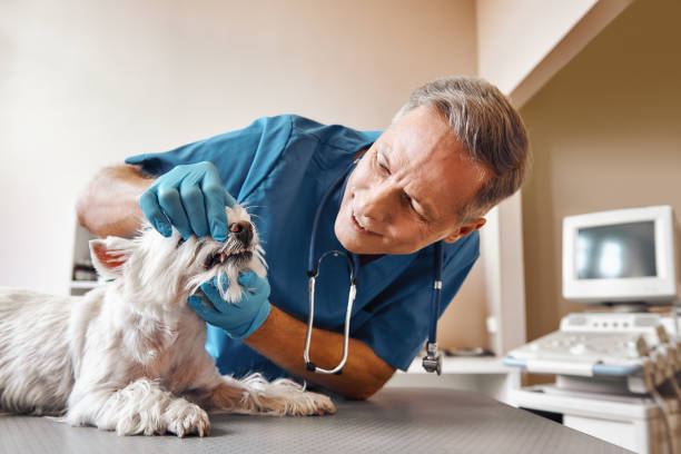 Best Emergency Broken Tooth Repair in Norwich, CT